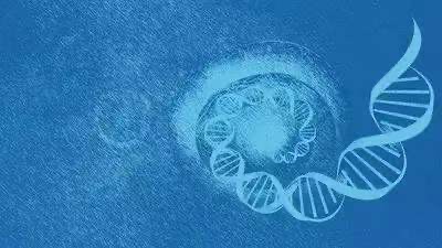37559bdf4091360677f3874be66879bd_B2w50cOUQHSjbw94f6_zjg_k=1588219488000.jpg